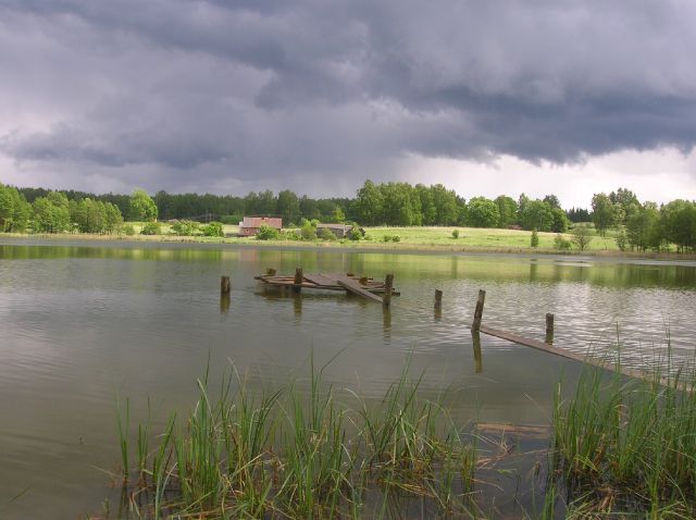 Галерея - Категория: Мой любимый водный объект ― место отдыха - Файл: Озеро  Сосновское