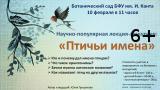 «Птичьи имена»