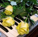 «Цветы и музыка»