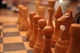 Областной Новогодний блиц-турнир по шахматам