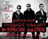 Трибьют-концерт группы Depeche Mode