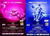 Матчи мирового женского Гран-при и мужской Мировой лиги по волейболу