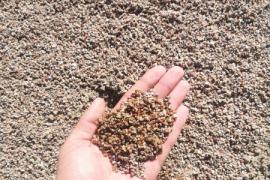 Песок мытый, первого класса, с доставкой от тонны