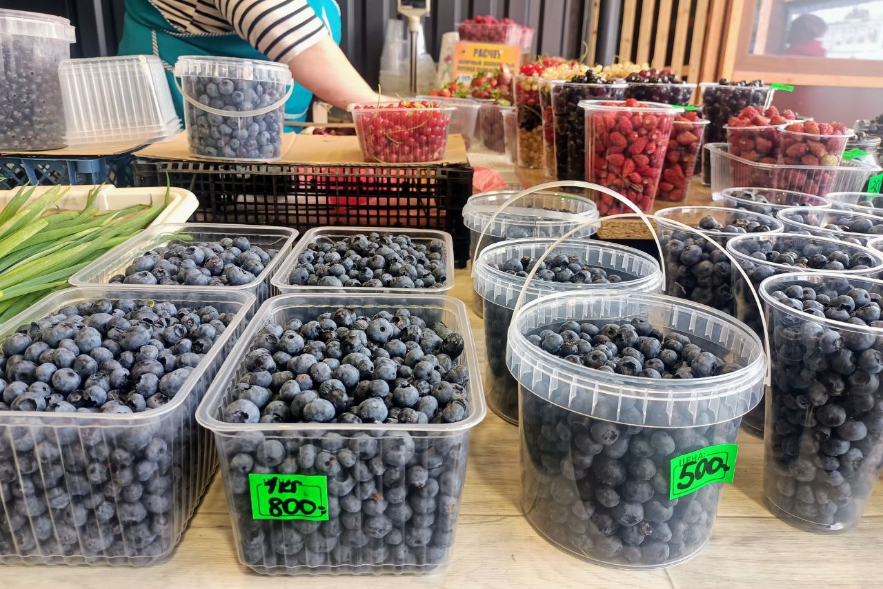 Сезон в разгаре»: какие ягоды и за сколько продают на рынке в Калининграде