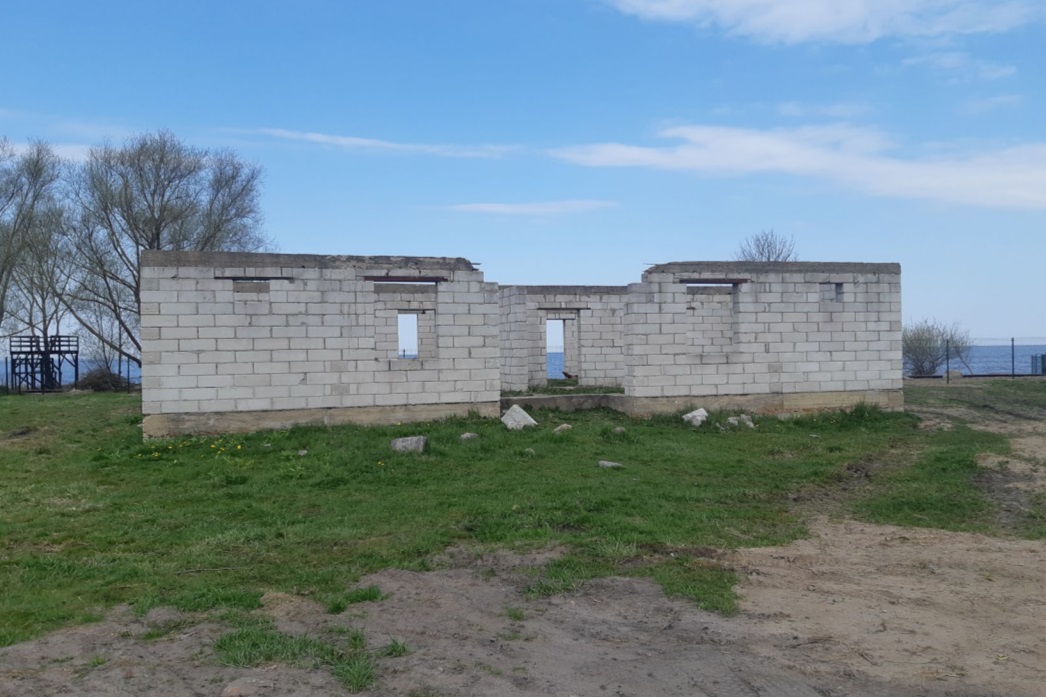 mmozaliv1