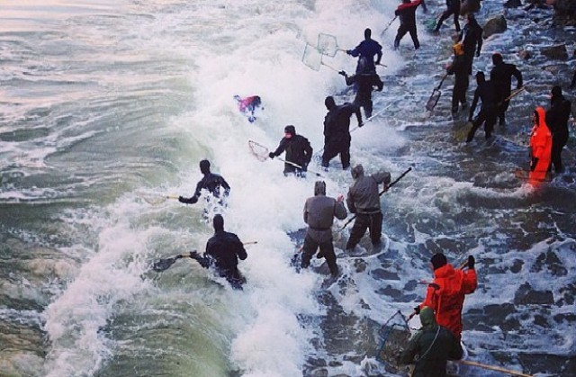 Ловцы янтаря на побережье Балтийского моря, 7 января 2015 года