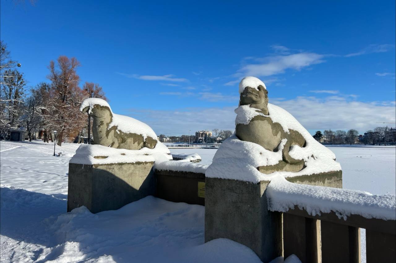 photo 2025 02 18 11 25 23