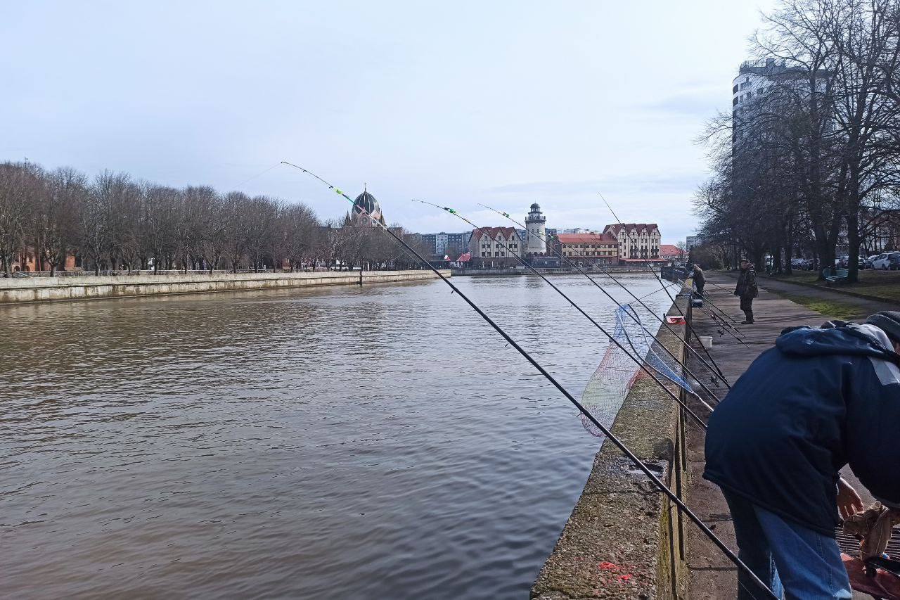  Рыбалка в конце марта: советы, прогноз, лучшие места 