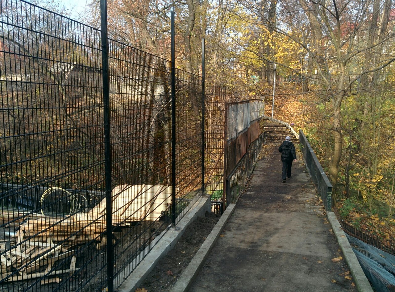 В калининградском зоопарке устанавливают трёхметровый забор