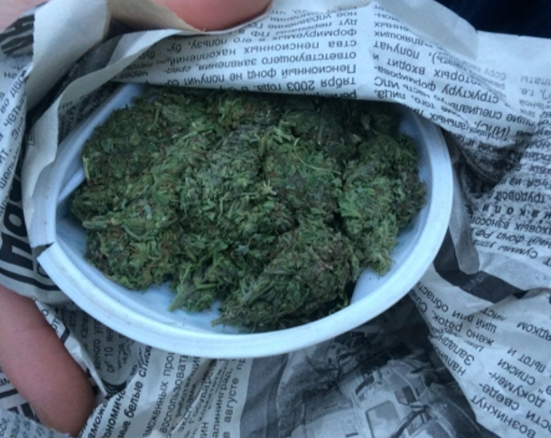 марихуана калининград продам