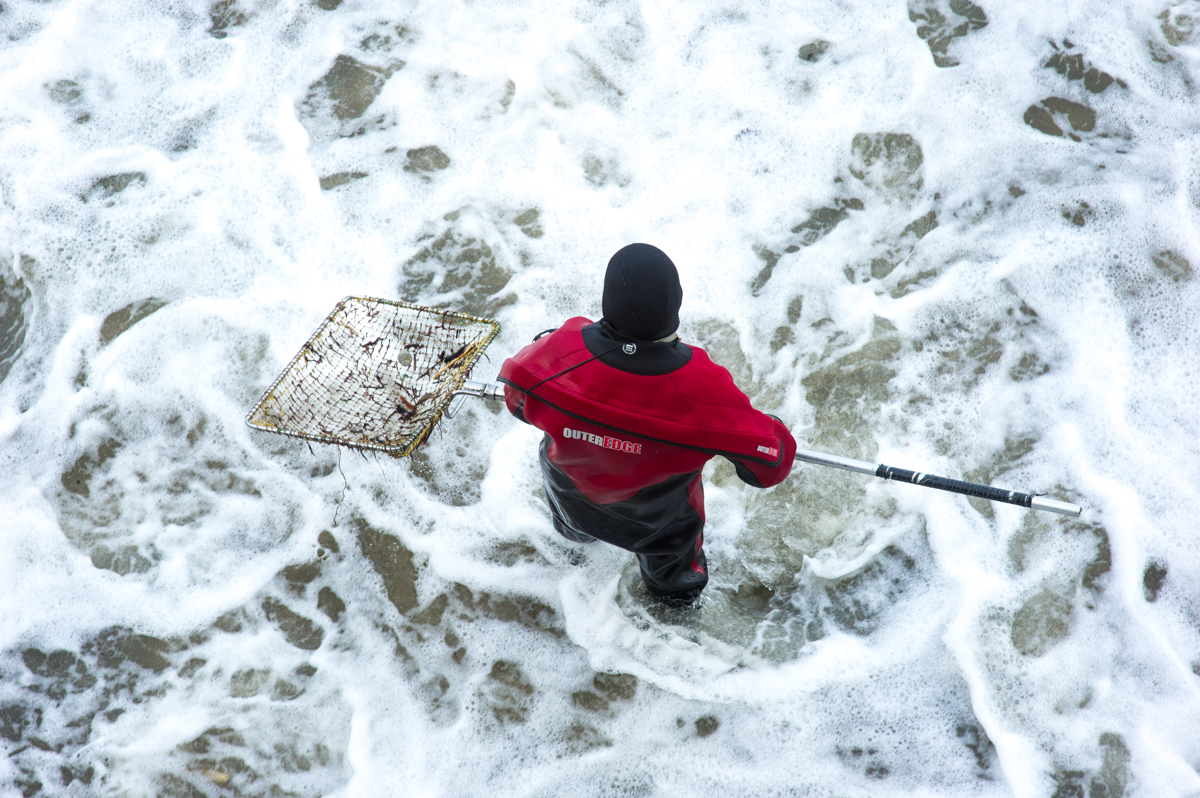 Ловли янтаря. Ловля янтаря в Балтийском море сачком. Янтарный после шторма пляж.