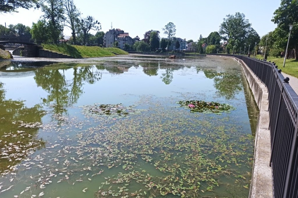 Озеро поплавков калининград