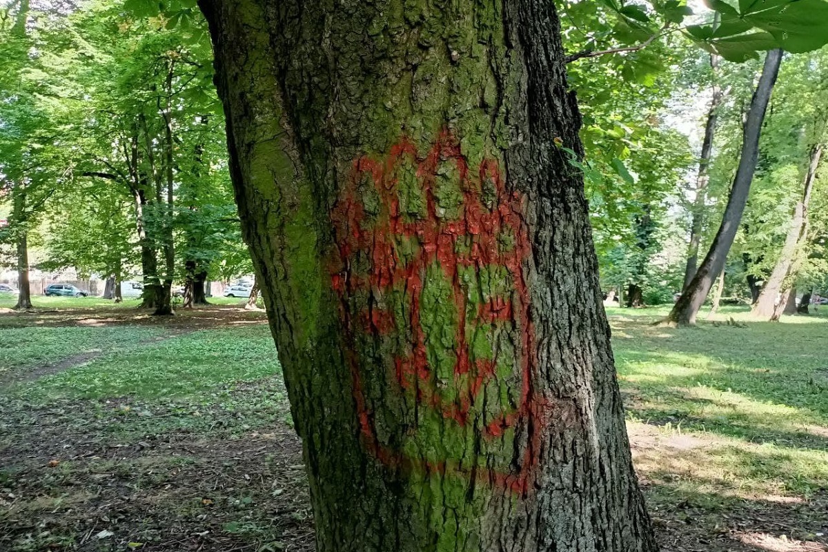 Red Graffiti Nude