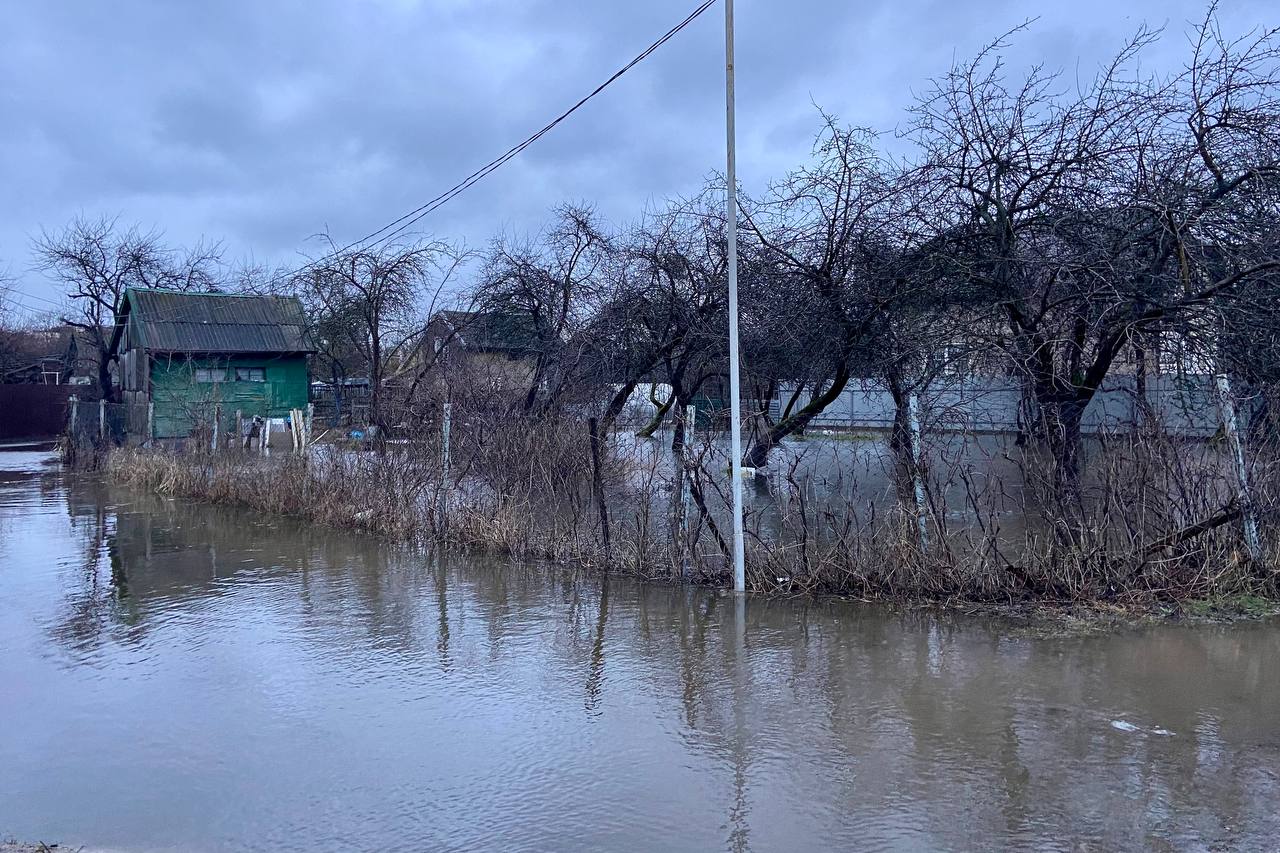 Калининград наводнение. Потоп в Калининграде. Калининград затопило. Потоп СНТ. Затопление Полесска.