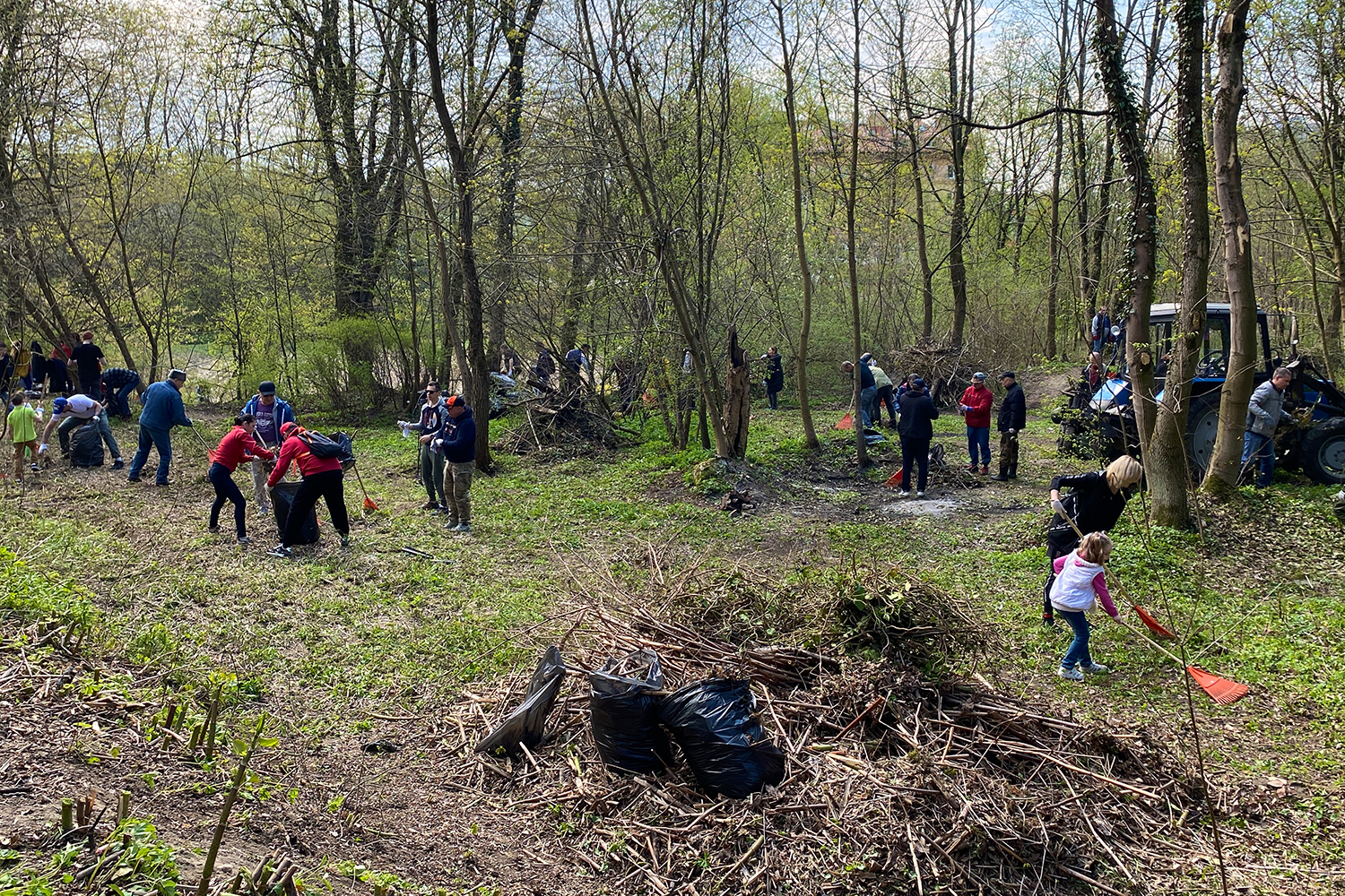 Парк вместо бурьяна»: как прошёл общегородской субботник в Калининграде  (фото) | 23.04.2022 | Новости Калининграда - БезФормата