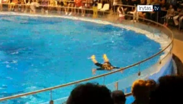 Россиянин прыгнул в бассейн во время шоу в клайпедском дельфинарии