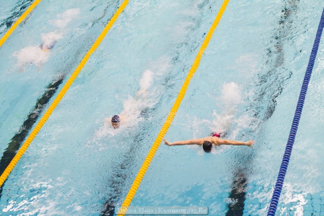 «Два кандидата»: в первенстве области по плаванию участники выполнили спортивные нормативы (фото)