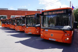 На улицы Калининграда выпустили ещё 11 новых автобусов ЛиАЗ
