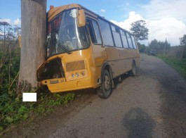 Школьный автобус врезался в дерево в Гурьевском округе: пострадали шестеро детей 