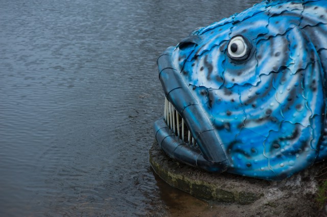 Губернатор о гигантской рыбе на Нижнем озере: Это кошмар на улице Вязов