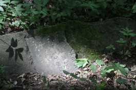 Разбросанные надгробия рядом с Центральным парком