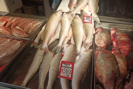 «Пора привыкать к золотой рыбе»: в Калининграде снова выросли цены на судака