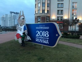 В Калининграде во время ЧМ-2018 будут работать несколько мобильных консульств
