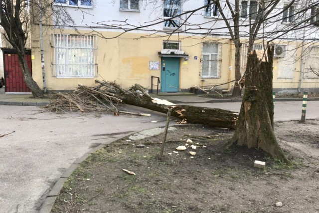 Из-за сильного ветра в Калининграде повредило десять зданий