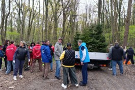 &laquo;Ели, грабли и мешки&raquo;: в Калининграде прошёл общегородской субботник (фото)