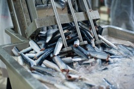 «Жидкий дым и яблочное пюре»: глава КТПП рассказал, как экономят производители рыбных консервов