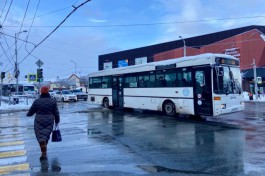 В Калининграде планируют обустроить новые выделенные полосы для автобусов в 2025 году