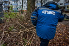 «Упавшие деревья и подтопления»: в администрации Калининграда рассказали о последствиях штормового ветра