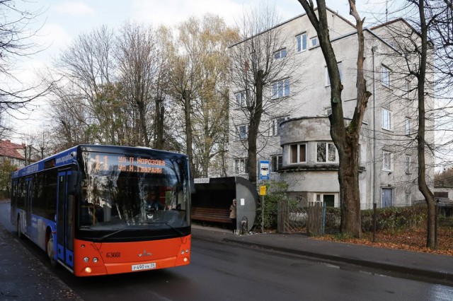 Мэрия Калининграда проверит автобусные компании после аварии на улице Горького