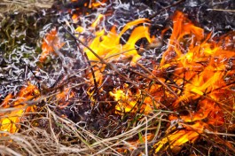 В Озёрском округе из-за пала травы сгорела мелиоративная труба