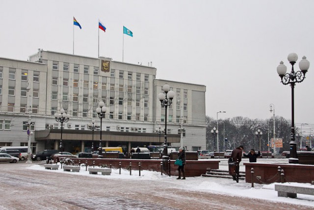 В администрации Калининграда создали отдел озеленения