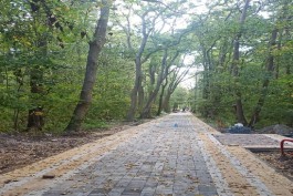 Благоустройство парка Головко в Балтийске планируют завершить к середине декабря