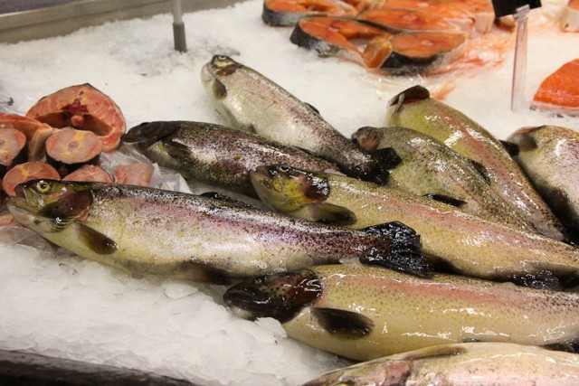 В Калининградской области вырастили в два раза больше рыбы на продажу 