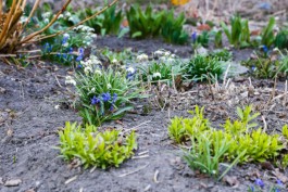 Синоптик: Метеорологическая весна придёт в Калининград раньше, чем в другие регионы России
