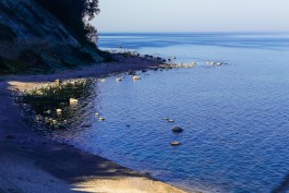 Прокуратура проверяет информацию о загрязнении Балтийского моря в районе Филинской бухты