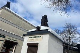 Из-за суровой зимы посещаемость Калининградского зоопарка снизилась на 50% 