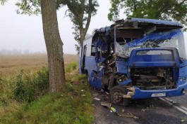 Под Правдинском автобус с 15 пассажирами врезался в дерево: пострадали четыре человека (видео)