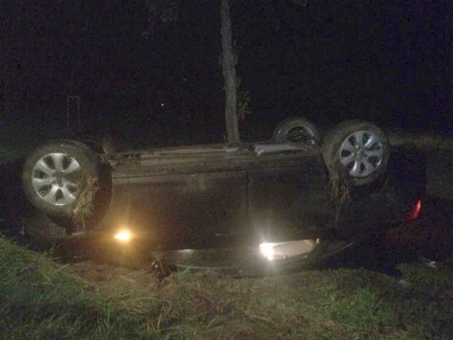 В Польше калининградский автомобиль перевернулся после столкновения с оленем