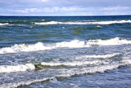 В Зеленоградске обнаружили в море тело 39-летнего сёрфингиста