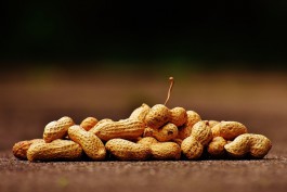 В Калининградскую область не пустили 145 тонн арахиса из Индии