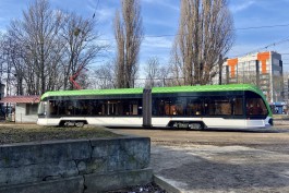 В Калининград доставили все 16 трамваев «Корсар»