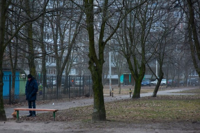 В Калининграде зафиксировали рекордную температуру для 15 января