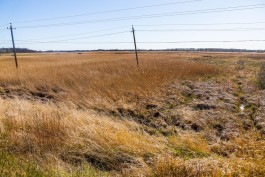 «Россети Янтарь»: Предприниматель из Гвардейска похитил электроэнергии на 56 млн рублей во время майнинга  