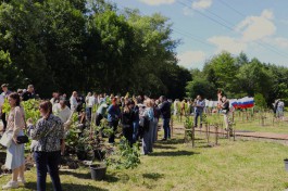 Выпускники высадили на берегу Летнего озера в Калининграде ещё 150 кустов сирени (фото)