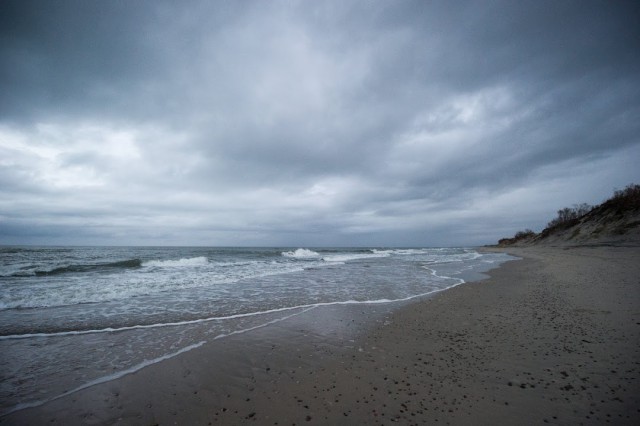 СК: Найденные на побережье в Куликово останки могут принадлежать женщине    (фото)