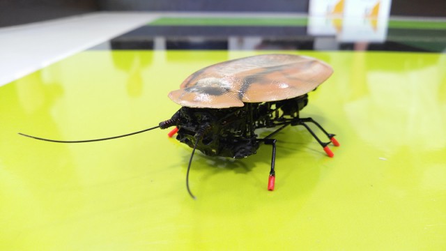Ливанов предложил массово производить калининградских роботов-тараканов